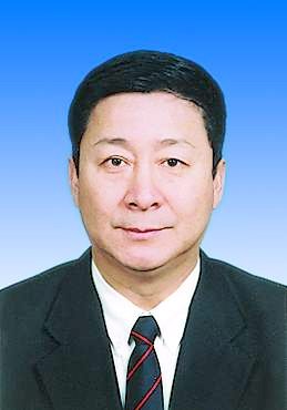 中国民用航空总局局长杨元元:信息化重在落实