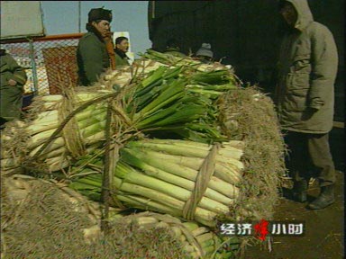 紧急进口限制下 中国蔬菜受阻日本海关_产经动