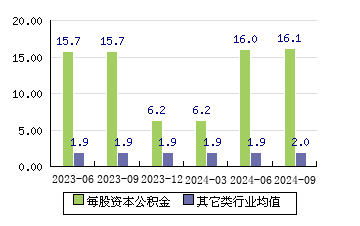 云天励飞[688343]每股资本公积金