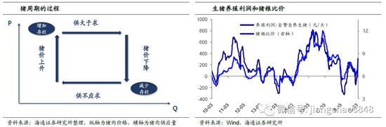 海通姜超：猪周期开启 将如何影响通胀？