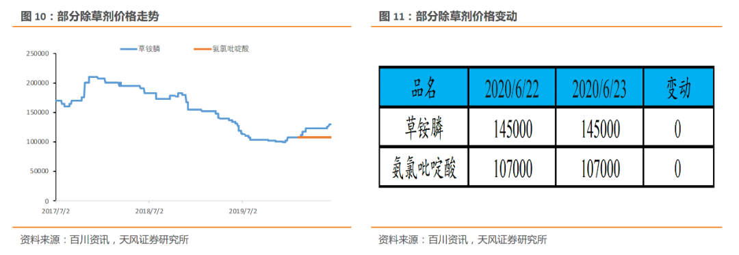 公司股份