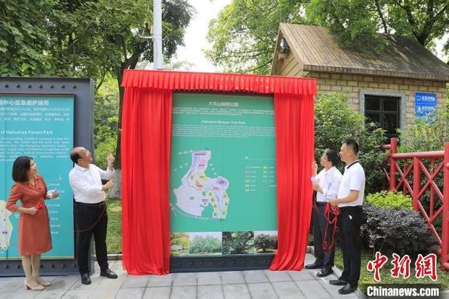 廣州大夫山榕樹公園揭牌儀式 廣州市林業和園林局 供圖