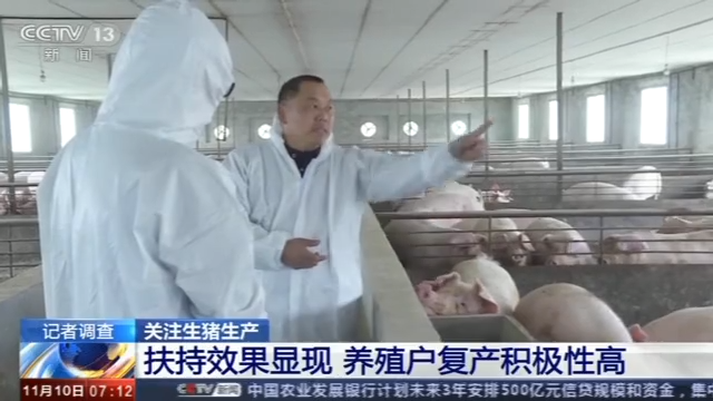 国家对养殖户的扶持 猪业扶持效果大追踪 养殖户:春节前恢复往年水平
