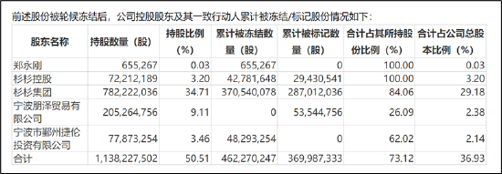 杉杉股份控股权是否稳？遭控股股东债务危机冲击 曾被大股东掏空资金链疑也不乐观 (http://www.paipi.cn/) 财经 第3张