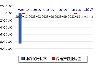 珠江股份600684 净利润增长率