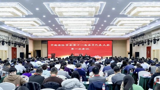 周亮出席中国保险学会第十一届会员代表大会第一次会议并讲话