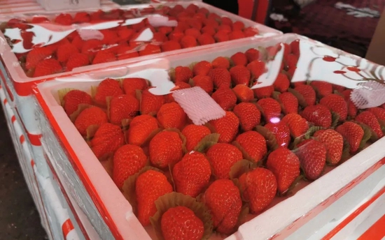 ▲北京新发地市场商户销售的正宗丹东草莓。 摄影/郭铁