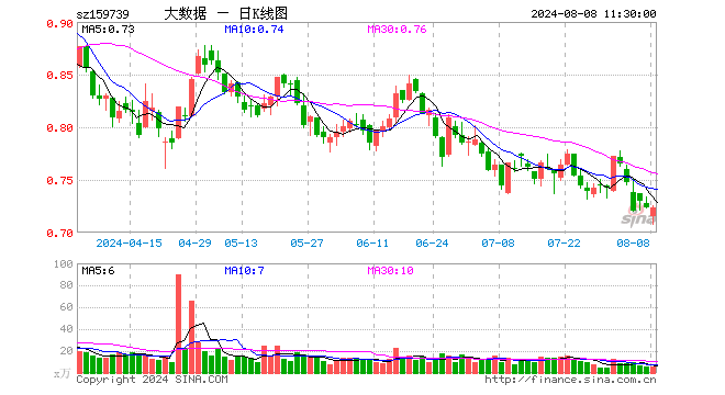 大数据ETF（159739）涨0.00%，半日成交额366.87万元