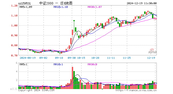 中证2000ETF（159531）跌0.93%，半日成交额1.07亿元