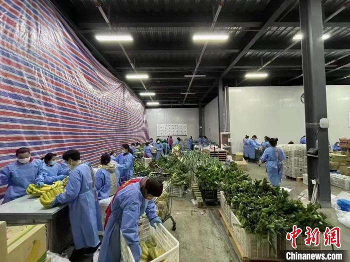 志愿者们加班加点包装”民生物资套餐“。睢宁县委宣传部供图