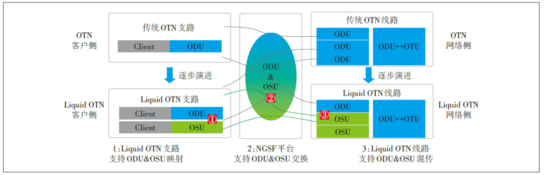 图7 Liquid OTN兼容传统OTN