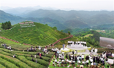2022年“国际茶日”国家分会场活动在平利启动