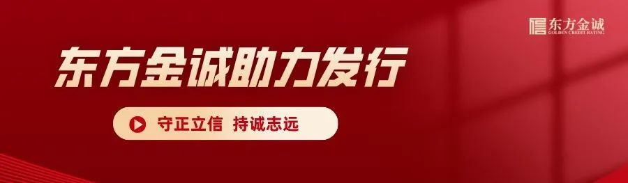 东方金诚助力安徽合力20.48亿元可转债成功发行