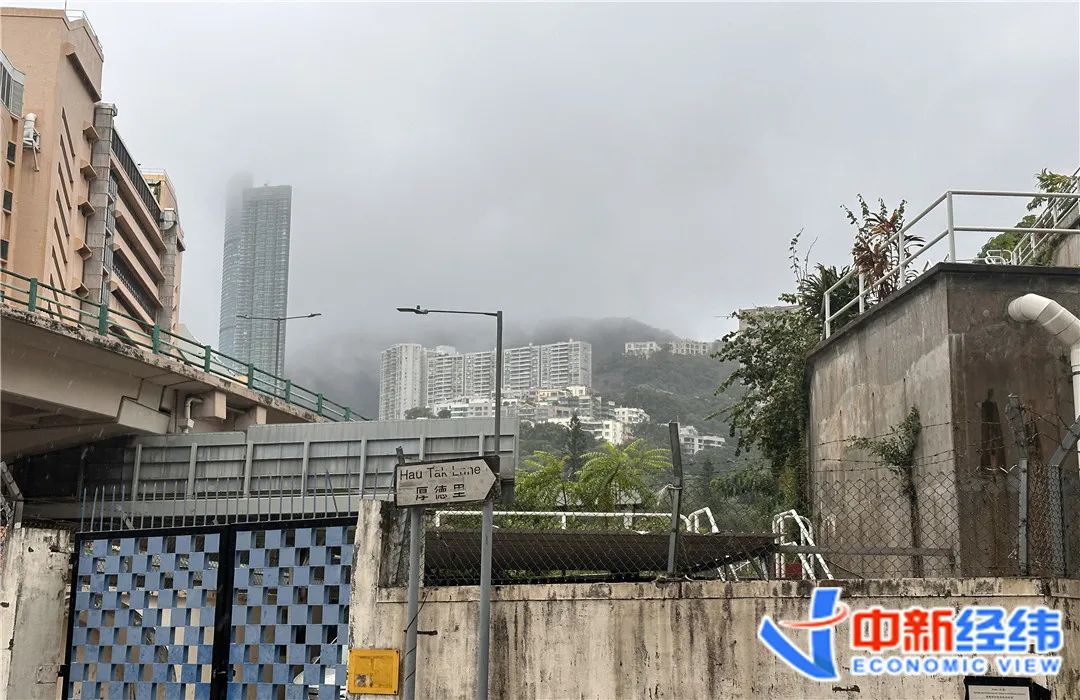 ▲香港住宅依山而建。中新经纬罗琨摄