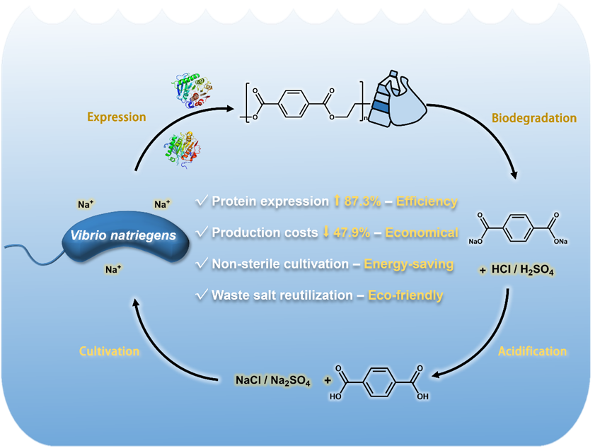 图丨基于宿主筛选和副产物循环（来源：Bioresource Technology）