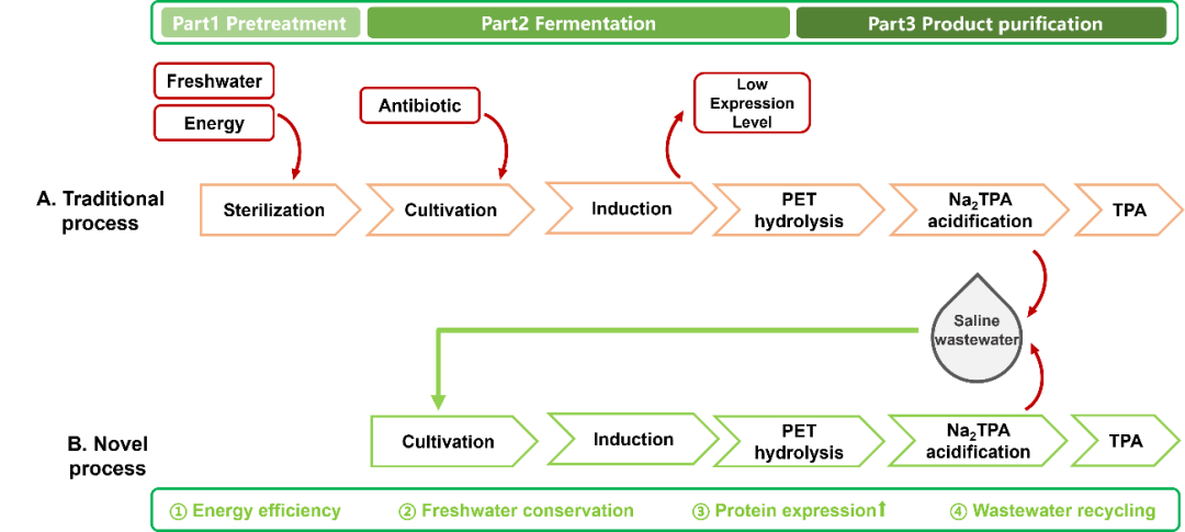图丨传统 PET 生物降解工艺及新工艺的流程图（来源：该团队）