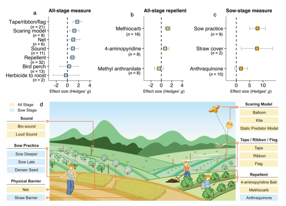 图丨缓解措施在减少鸟类造成的作物损失方面的有效性（来源：Plos Biology）
