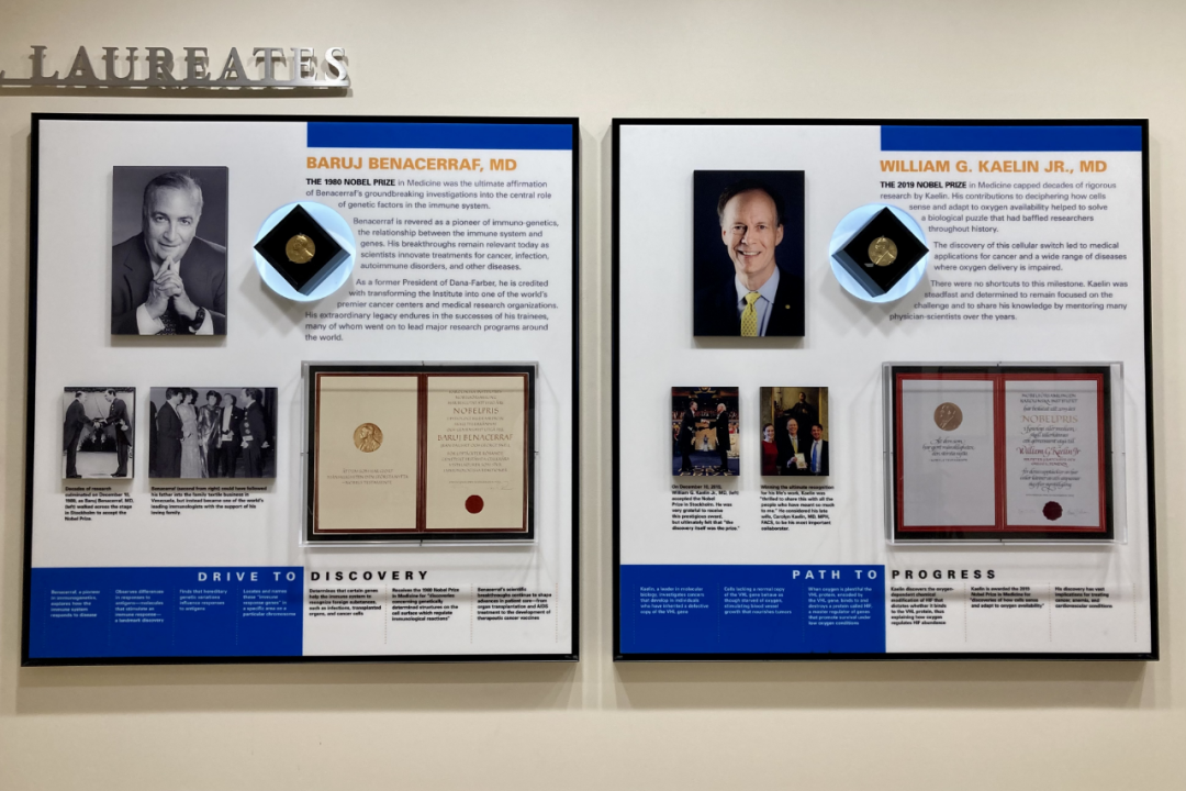 图丨丹娜-法伯癌症研究所走廊一角悬挂着两块诺贝尔奖牌（来源：吴功伟）
