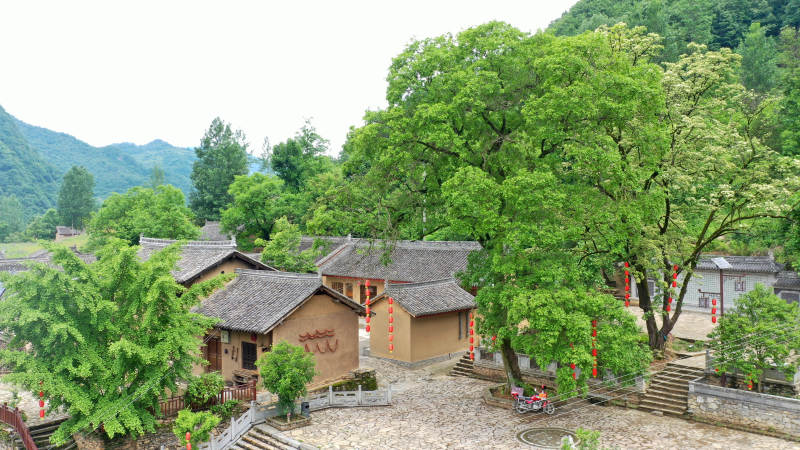 村民家门口杂树“一律清除”， 如何留住乡愁 | 新京报快评