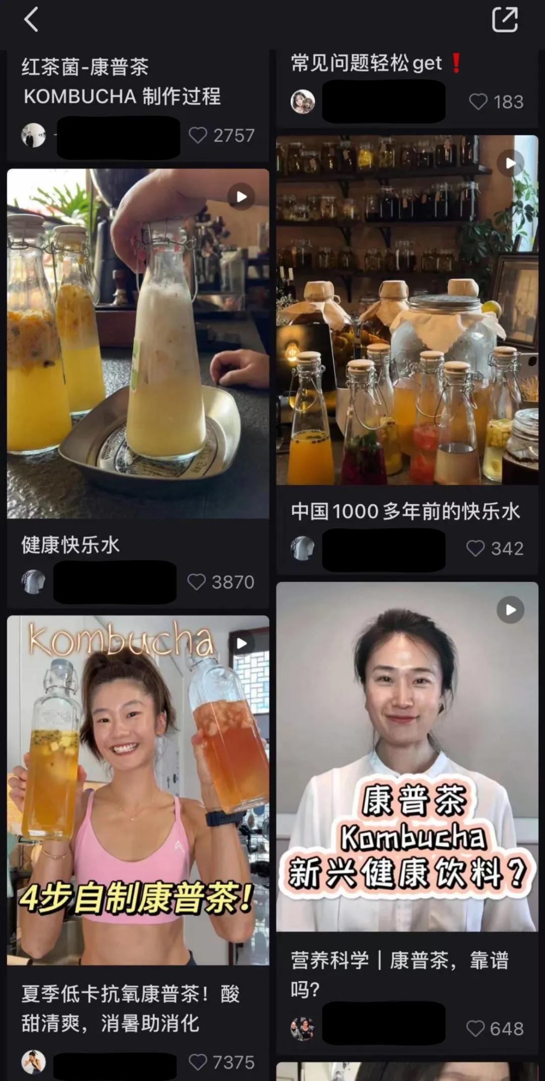 走红网络的自制康普茶，图源小红书