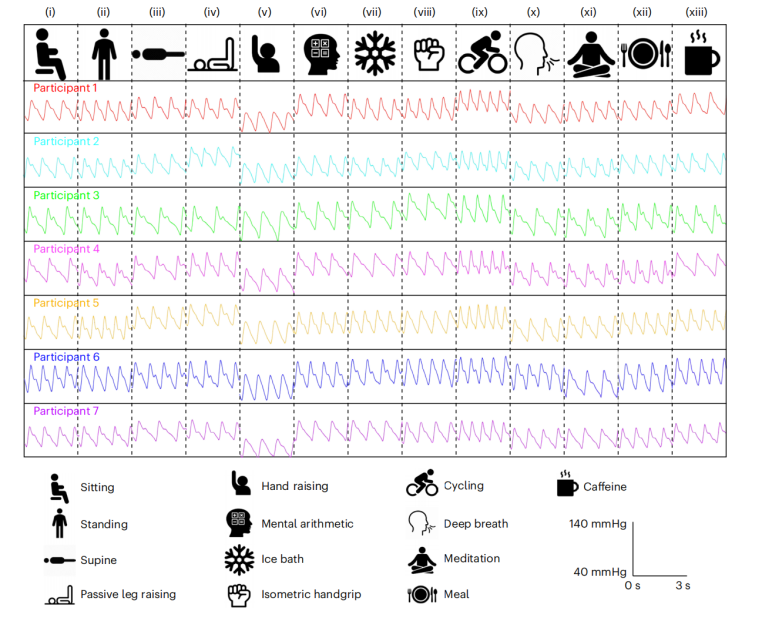 图丨传感器在人的不同状态下测量的血压（来源：Nature Biomedical Engineering）