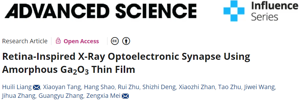 图 | 相关论文（来源：Advanced Science）