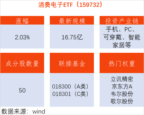 更多补贴政策或将出台，消费电子ETF上涨2.03%，恒玄科技上涨12.95%