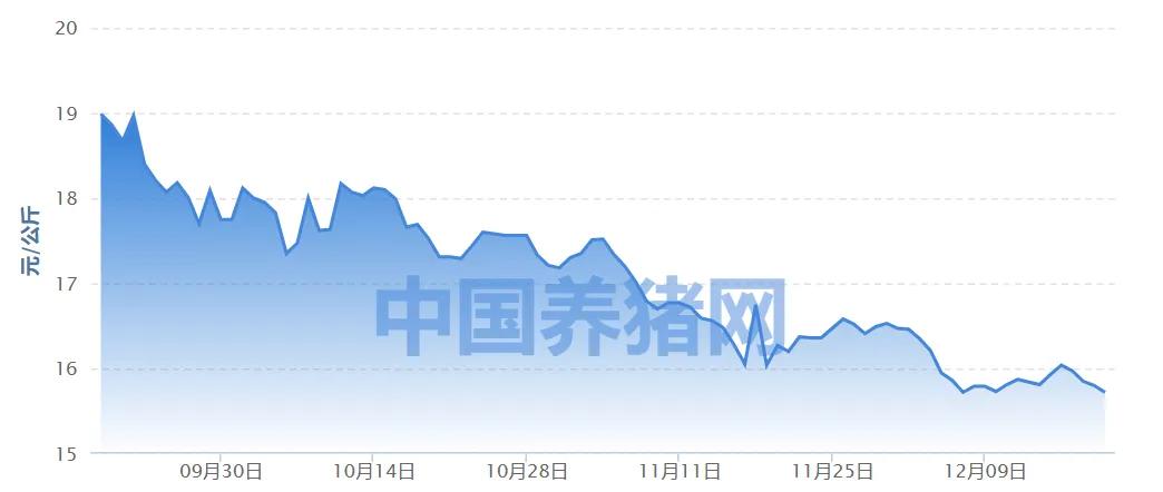 （数据来源：中国养猪网）