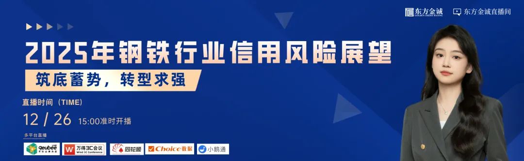 周四直播 | 筑底蓄势 转型求强——2025年钢铁行业信用风险展望