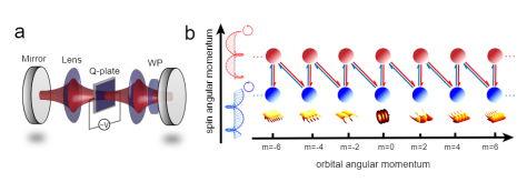 实验装置与理论模型示意图：a. 简并光学谐振腔b. 人工合成光子轨道角动量晶格（图片来源：中国科大）