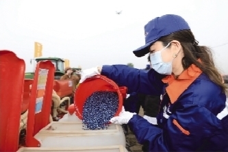 越秀辉山党委书记、总经理韩春辉正在添加玉米种子。