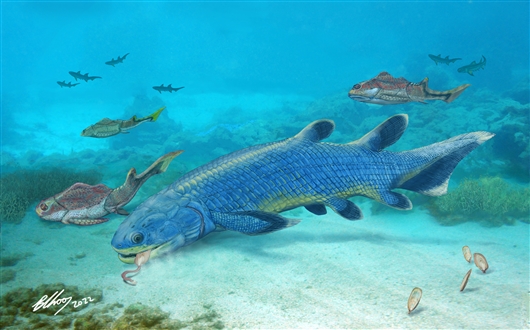 杨氏鱼揭示肺鱼类食壳性起源与快速演化