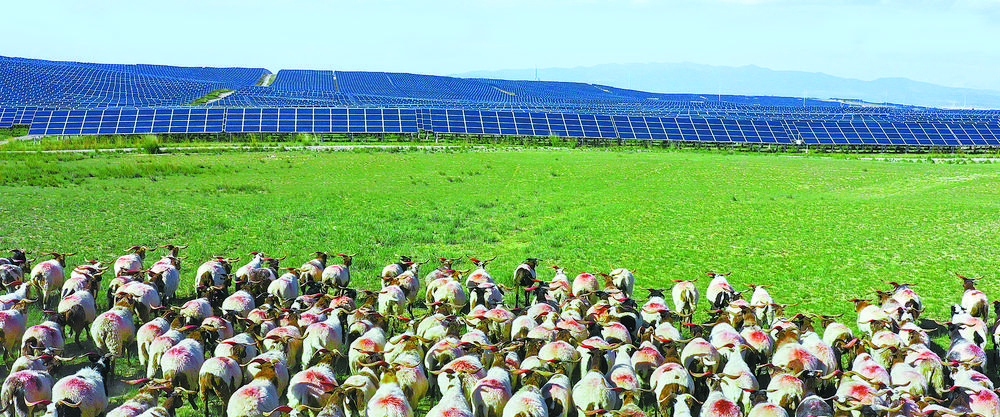 海南：“清洁能源”追梦在春天里