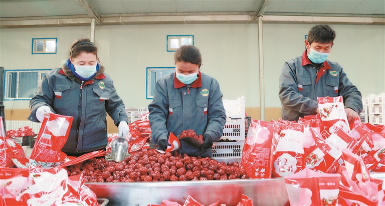 十三师黄田农场职工在该团喜折惠特色农业产业基地加工干果（资料图片）。 兵团日报常驻记者 赵宝山 摄