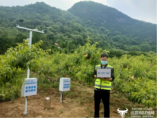 信息化为乡村振兴添活力  湖北京山黄桃基地开启“云种地”模式