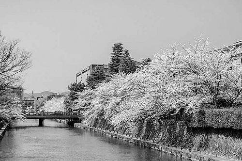 图片来源：SILENCE Photo/Getty Images