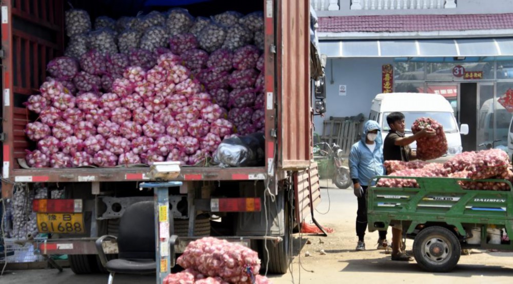 5月20日，商家在北京新发地市场搬运大蒜。（新华社记者 李欣 摄）