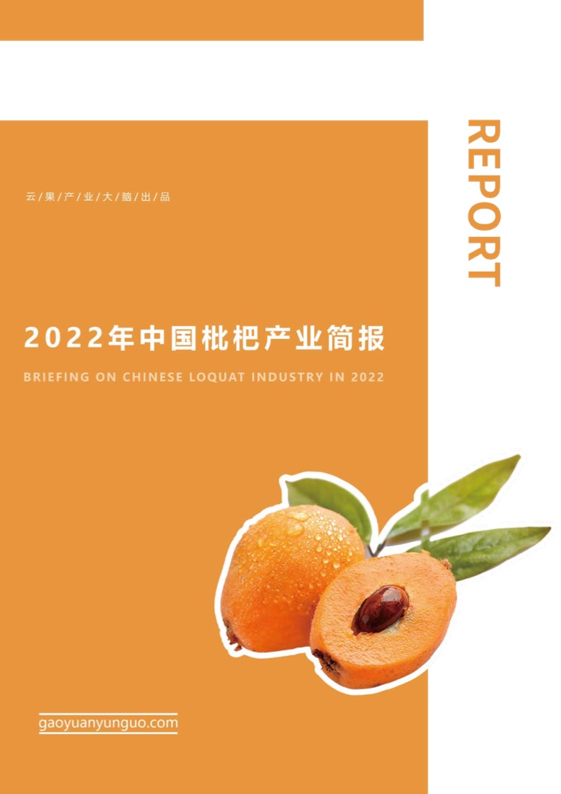 云果：2022年中国枇杷产业简报