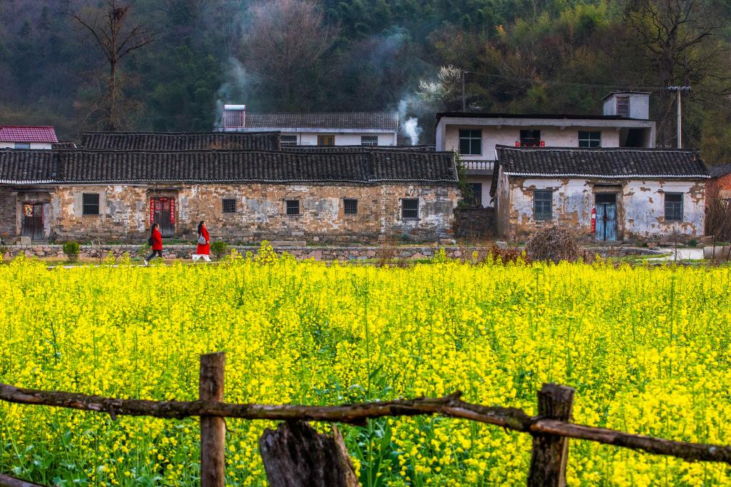 新县香山湖管理区水塝村袁河古村落。（受访对象供图）