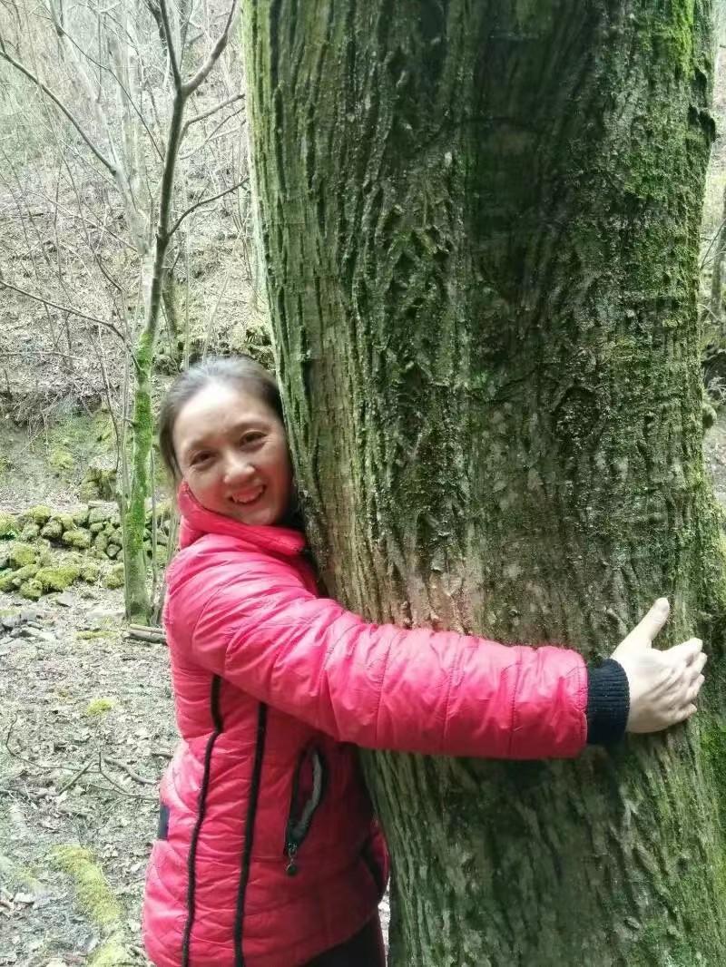 ↑景祥俊在林中怀抱一棵大树 受访者供图