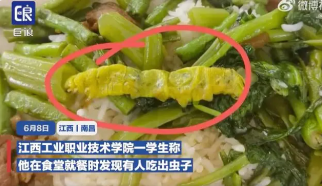 ↑网曝江西工业职业技术学院有同学在饭里吃出了大青虫