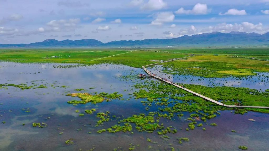 若尔盖湿地国家级自然保护区花湖景区。图片来源：视觉中国