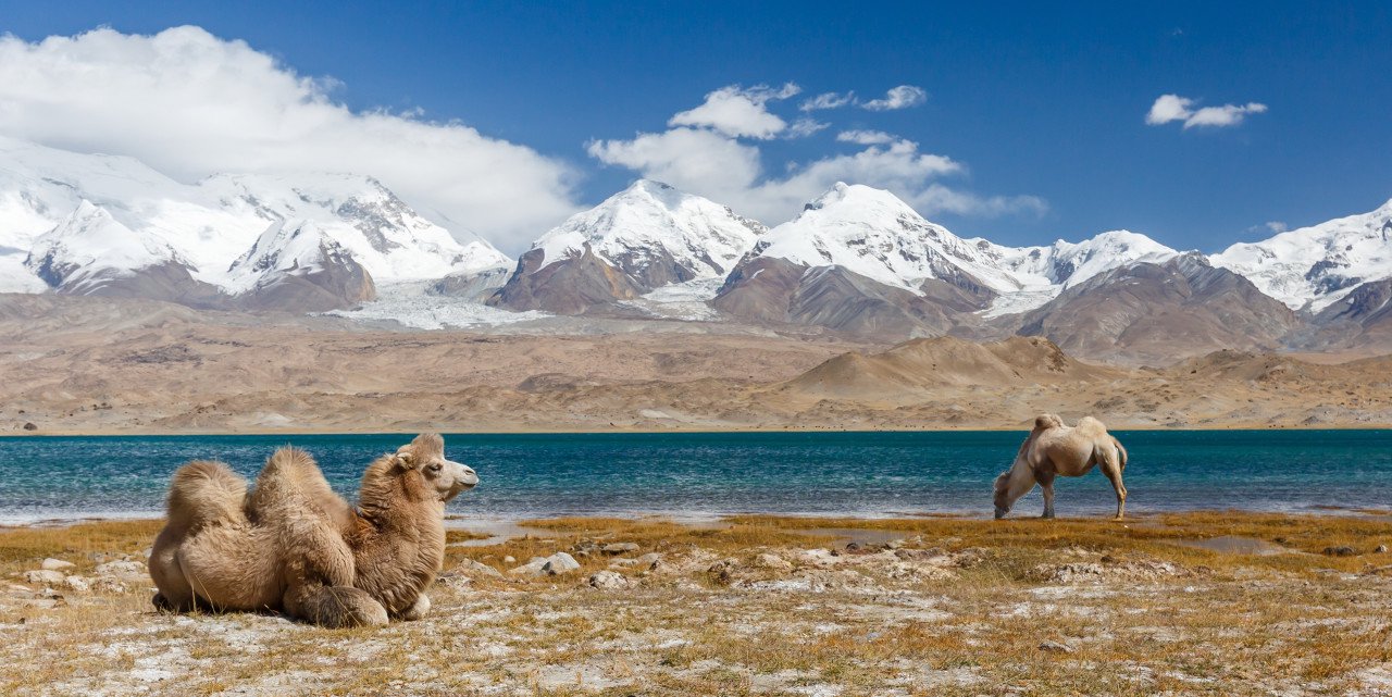 假期首日游客量暴增：西北游大热，西藏携程订单量增幅2037%