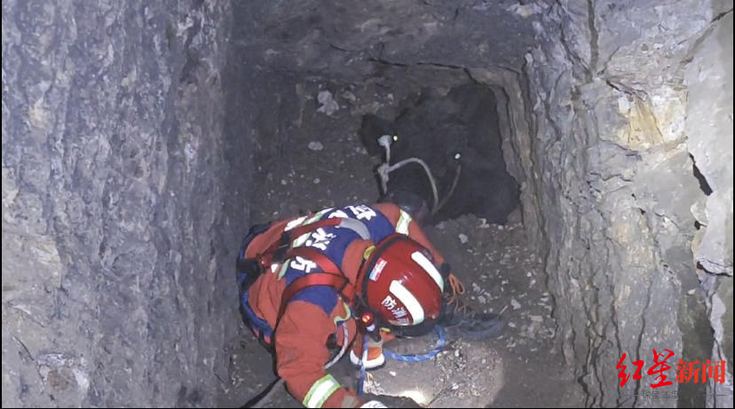云南1000斤怀孕母牛跌落10米深废弃矿洞：消防员索降洞内，动用挖掘机施救