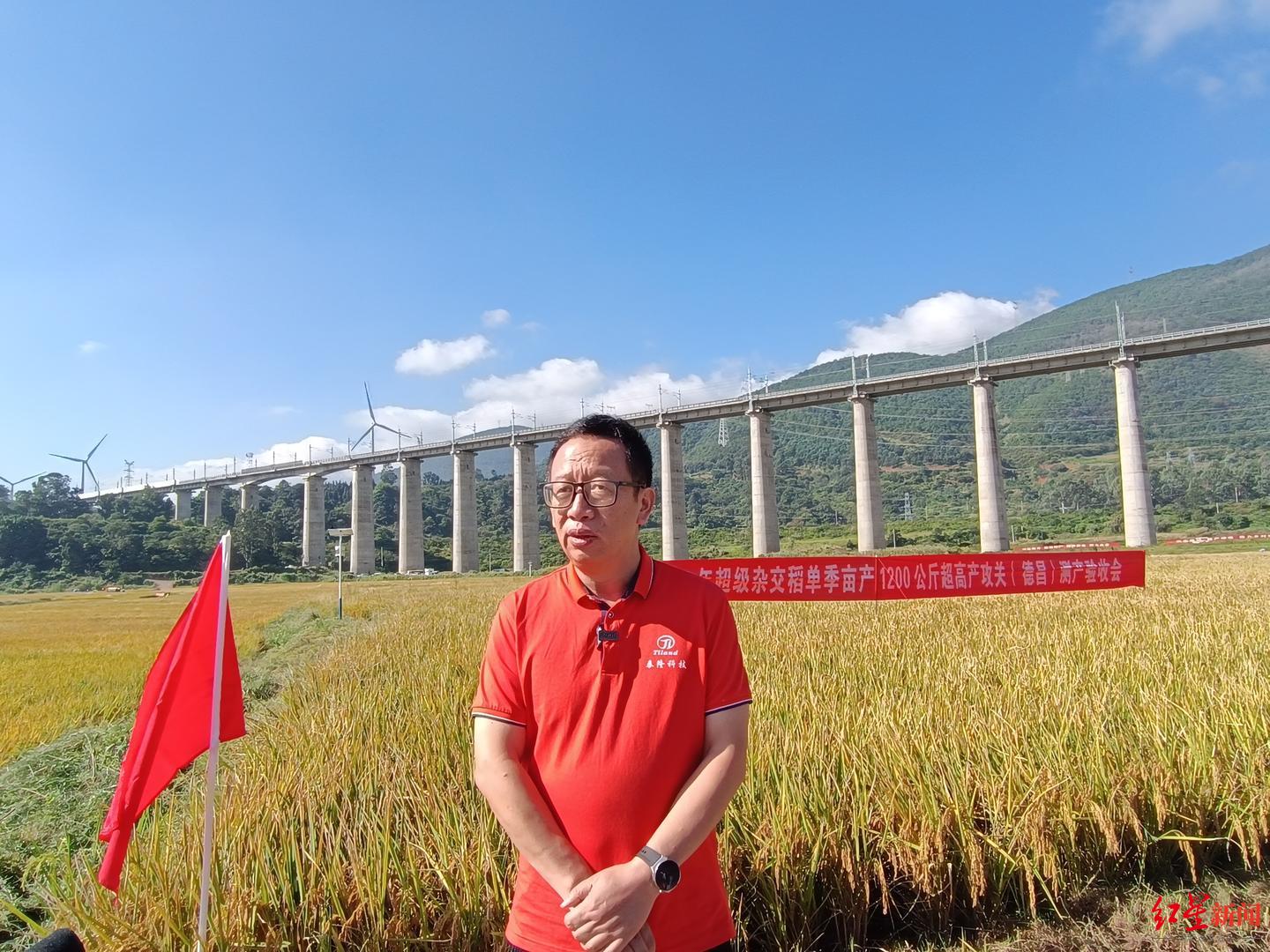 袁隆平“超级稻”单季亩产1251.5公斤创纪录 对话专家：攻关5年，这是对袁老的告慰