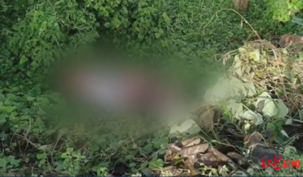 同一片区内连续发现6具遗体，菲律宾警方：正确认是否为此前被绑架的6名中国人