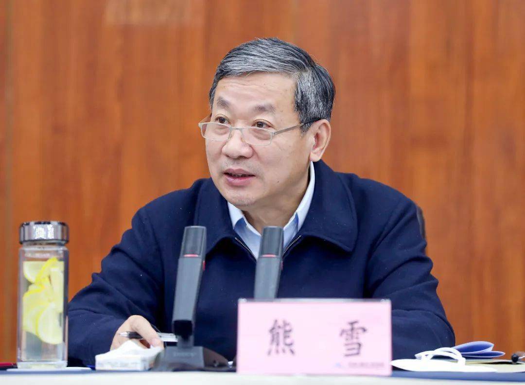 重庆市原副市长熊雪被开除党籍 33岁成为副区长 被指“对配偶不管不教”