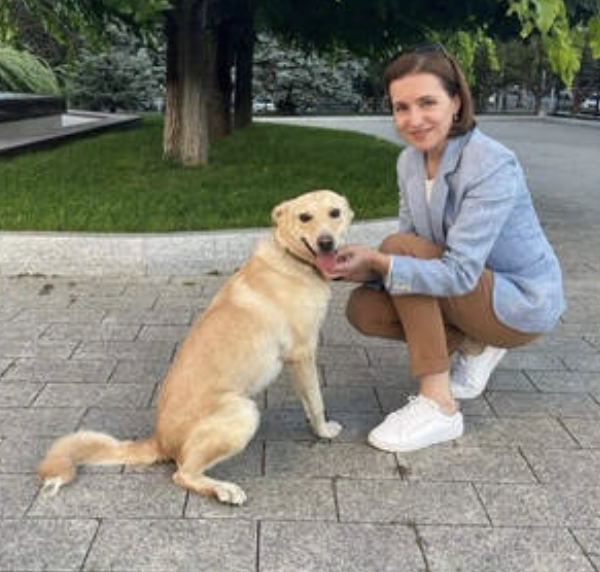 ▲摩尔多瓦总统桑杜和她的爱犬科德鲁特