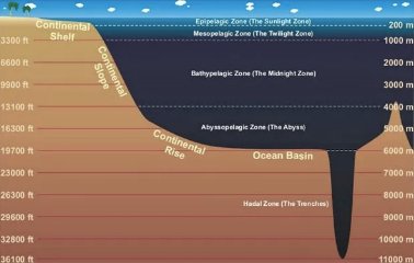 地理学上的海洋分层示意图