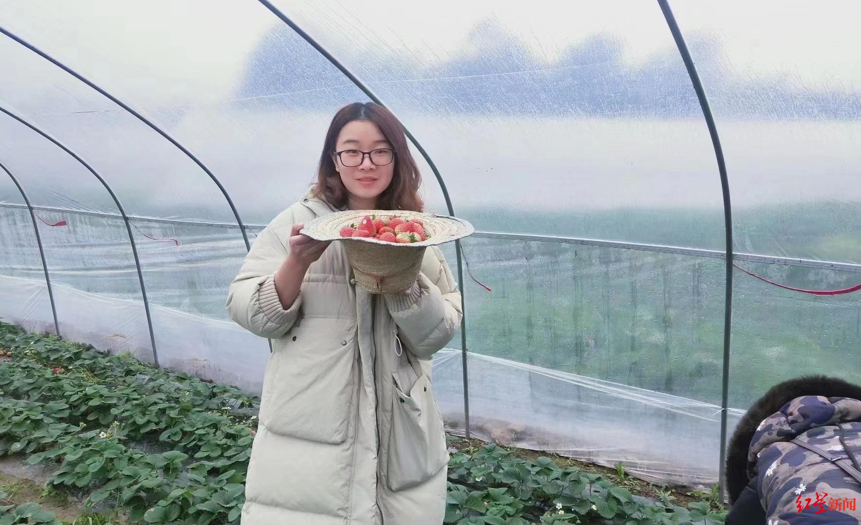 我在成都当农匠丨始于草莓的创业梦：90后女孩每年帮农户卖出水果2万余斤